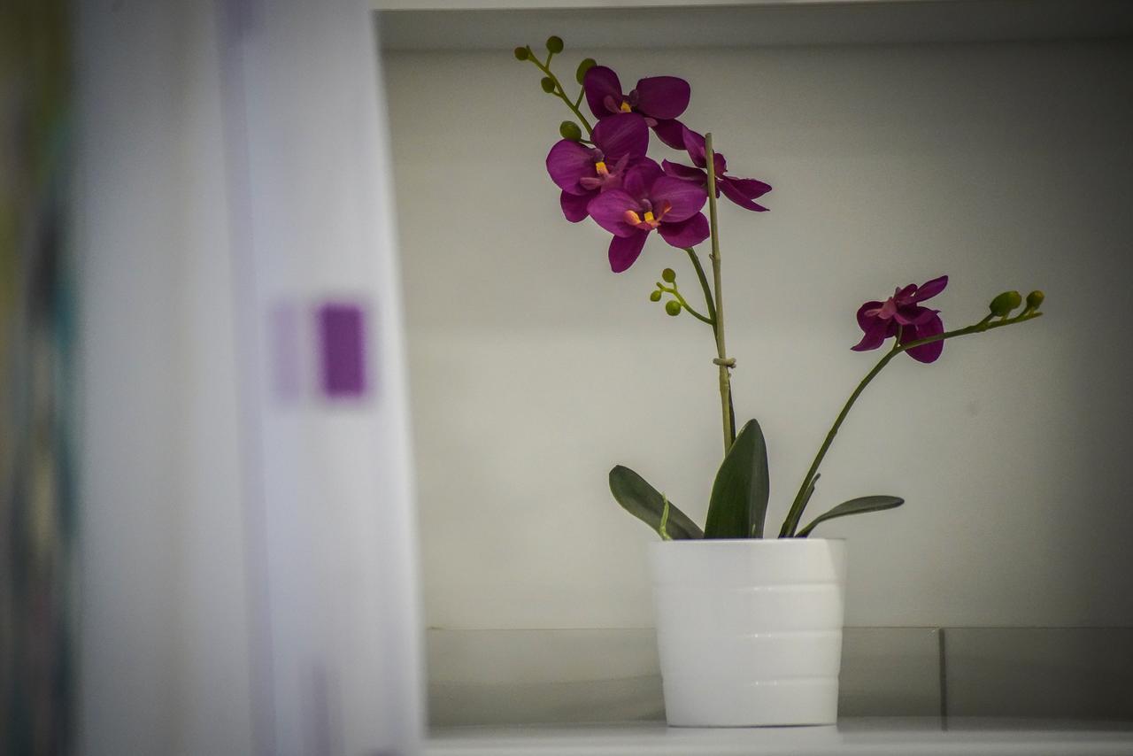 מאקרסקה Apartments Grepo Sljeme מראה חיצוני תמונה